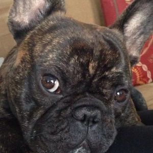 Meet your Posher, Erik